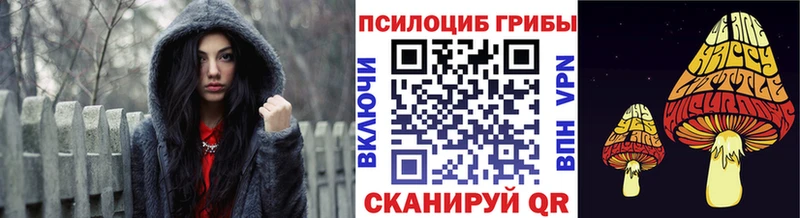 Галлюциногенные грибы Psilocybine cubensis  Ржев 