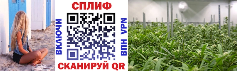 как найти   Ржев  МЕГА зеркало  Марихуана индика 